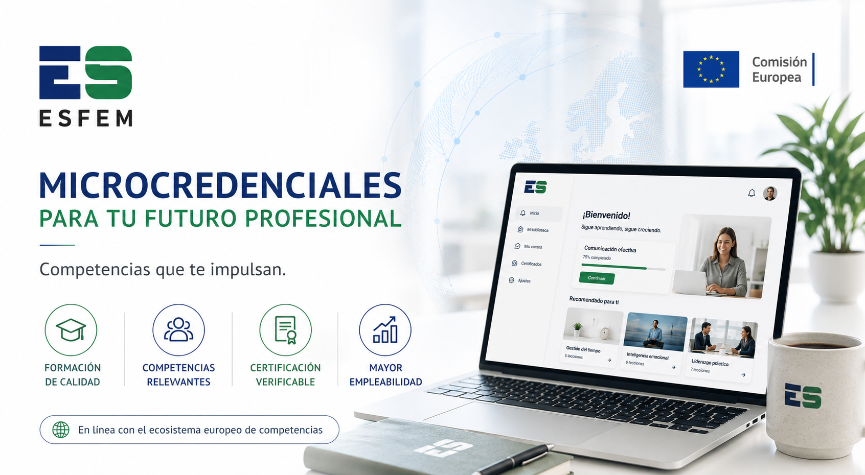microesfem